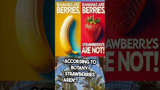 Did You Know Bananas Are Berries 🍌🍓 MindBlowing Fruit Facts sciencefacts facts banana best [upl. by Alue]