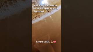 Début de fermentation dune bière avec une levure norvégienne KVEIK 12h après le brassage [upl. by Oizirbaf551]