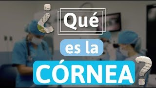 ¿Qué es la Córnea [upl. by Nebe]