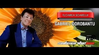 Gabriel Dorbantu Floarea Soarelui [upl. by Acinok196]