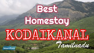 Best Home stay In Kodaikanal  Best accommodation in Kodai  Best stay in Kodaikanal Kodai hotels [upl. by Yrol557]