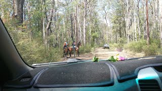 Week end road trip in Burralow Creek The Devils Wilderness in Blue Mountains Natl Park [upl. by Essex]