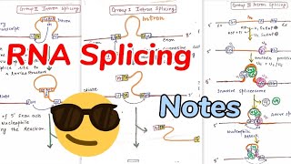 RNA Splicing  Group 123 Introns splicing [upl. by Nylsirhc]