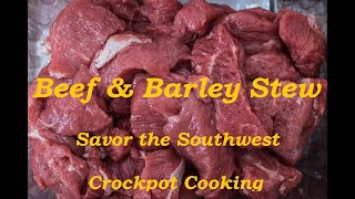 Beef amp Barley Stew  Savor The Southwest  One Pot Meals Series [upl. by Petula675]