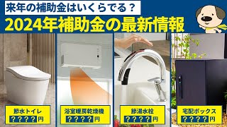 【リフォーム補助金】2024年の大型リフォーム補助金情報！支給上限額がまさかの引き下げ？子育てエコホーム支援事業 [upl. by Ragouzis]