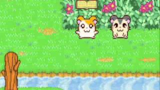 Hamtaro HamHam Heartbreak Part 1 [upl. by Leonid]