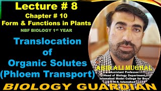 Translocation of Organic Solutes  Phloem Transport  Lecture 8 Ch 10 NBF Bio11 By Abid Ali Mughal [upl. by Margherita792]