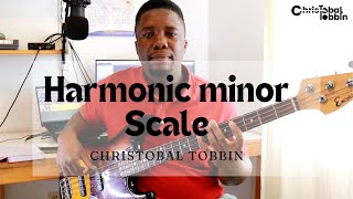 Learn the Harmonic minor Scale  basslessons  tutorial l [upl. by Sivartal]