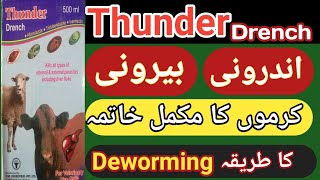 Thunder Drench Kill All Type Of Internal and External Parasites Including Liver Fluke  Urdu Hindi [upl. by Aicrag]