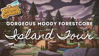 GORGEOUS MOODY FORESTCORE ISLAND TOUR  Animal Crossing New Horizons [upl. by Armando]