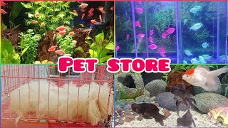 Vlog 31 Stopping by the pet store  bioresearch pets petstore animals animal fish dog pet [upl. by Ahsekam]