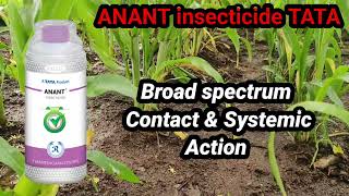 Anant insecticide Thiamethoxam 25WG [upl. by Nolrac]