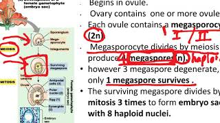TOPIC 8  DEVELOPMENT OF OVULE EMBRYO SAC FEMALE GAMETOPHYTE AND FEMATE GAMETE [upl. by Seitz]