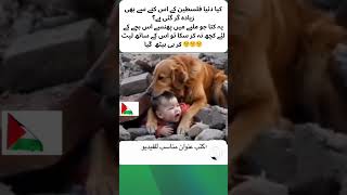 Even Animal Cares 😢😭♥️  Palestine  boycott Israel palestine palestina animals child shorts [upl. by Ysnap]