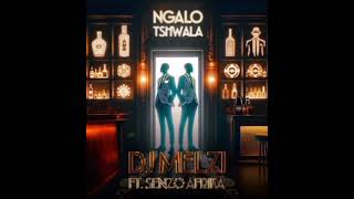 Ngalo Tshwala  Dj Melzi  Senzo Afrika [upl. by Tracay984]