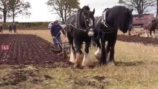 Ploughing with horses  Scottish Ploughing Championships 2014 [upl. by Copp]