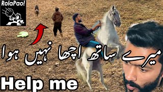 sultan horse ne AJ ACHA NAHI KIYA  HORSE RIDING  PETS VLOG  PAKISTANI VLOGS DOG SOUND [upl. by Lizned620]