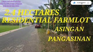 vlog 527 RESIDENTIAL RICELANDFARMLOT IN ASINGAN PANGASINAN 24HAS 700 Per sqm [upl. by Reeves]