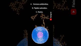 Repasa fisiología Endocrina  Preguntas y respuestas de la fisiología del sistema endocrino [upl. by Laekim]