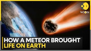 Ancient Meteorite Strike Created Ideal Conditions For Life Study  Latest English News  WION [upl. by Supple]