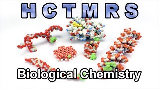 How Creationism Taught Me Real Science 98 Biological Chemistry [upl. by Upali]