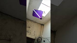 Kite looting inside the room 😱।। shorts kiteflying kitelooting kite patang patangwala loot [upl. by Netfa774]