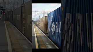 Electrocat 88 005 Minerva on the boxes  Nuneaton 231024 electric networkrail railway [upl. by Renrag194]