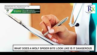 What Does A Wolf Spider Bite Look Like Is It Dangerous [upl. by Cob832]