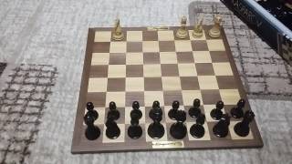 Шахматы KASPAROV CHAMPIONSHIP CHESS SET [upl. by Johanna]