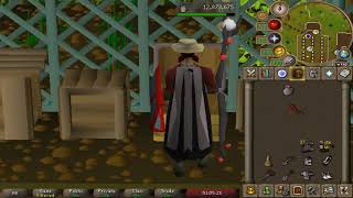 OSRS Ironman 073 Zammy Wines and NinetyNines [upl. by Keller]