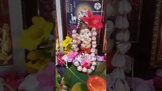 Vinayagar chathurthi 2024 Special day shortsvideoSharmlaArun [upl. by Aisital]