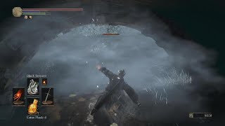 DARK SOULS III Mini Boss Sulyvahns Beast [upl. by Yhtrod]