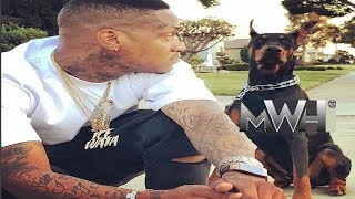 Slim 400 amp YG  TREE TOP BOMPTON PIRU MUSIC VIDEO 2018 [upl. by Maxima]