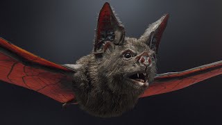 Vampire Bat [upl. by Marijo]