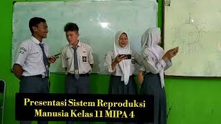 Presentasi Sistem Reproduksi Manusia Kelas 11 MIPA 4 [upl. by Mcdougall]