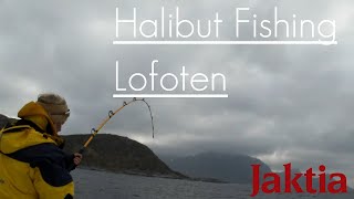 Kveite  og torskefiske i Lofoten 2021  Halibut and Cod fishing in Norway [upl. by Sashenka]