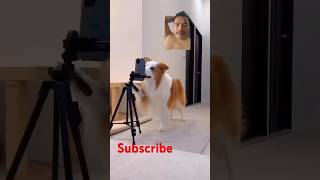 Enjoi doglover shortvideo tiktok [upl. by Nnairda]