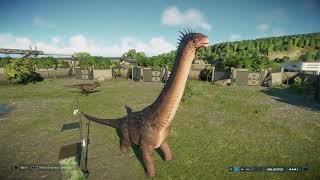 Jurassic World Evolution 2 Alamosaurus vs Feathered Tyrannosaurus Rex [upl. by Terhune]