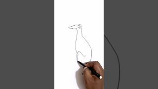 Whippet dog easy drawing viralvideo trending shorts shortvideo reels trendingshorts art [upl. by Oeniri]