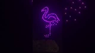 Flamingo Land Resort Spooktacular Drone Show familyattraction [upl. by Naghem379]