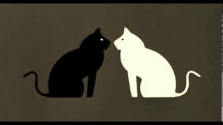 Emir Kusturica amp The No Smoking Orchestra  Bubamara Black Cat White Cat OST [upl. by Flem]