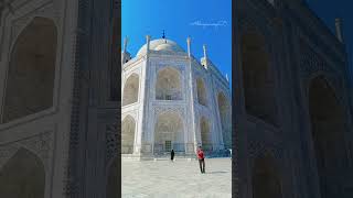 Taj Mahal agra tajmahal short travel shortvideo [upl. by Rufford]