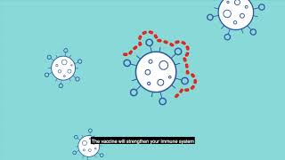 COVID19 vaccines – How vaccines work [upl. by Dias]