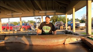 CLEANING AND FILLETING ALLIGATOR GAR PELANDO I LIMPIANDO PEJELAGARTO [upl. by Neelon]