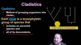 41 Systematics Phylogeny and Cladistics [upl. by Pathe]