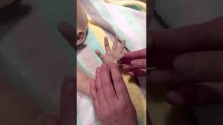 Silicone Baby Evelyn Grace  Hand armature demonstration [upl. by Leia780]