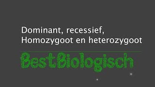 dominant recessief homozygoot en heterozygoot [upl. by Renita]