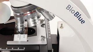 Euromex BioBlue 100x objective Adjusting the parfocality [upl. by Freyah965]