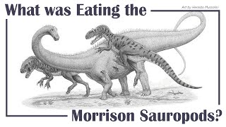 What was Eating the Morrison Sauropods [upl. by Loyce]