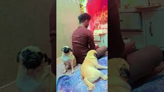 he dukh bhanjan Maruti Nandan short video Puja karte hue🏵️🌺🌸🪷🌹 [upl. by Yntrok175]